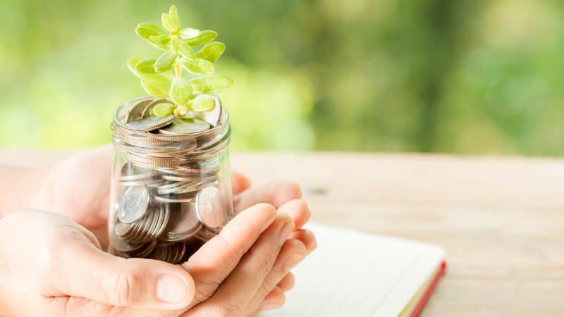 woman hand holding plant growing from coins bottle